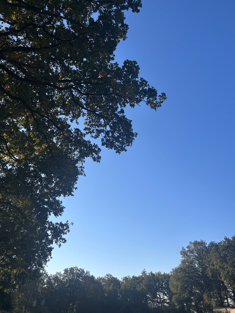 Anker der Erinnerung - für Dich und deine Trauer; Yoga, Innehalten & kreatives Gestalten im Wunderland in Cloppenburg