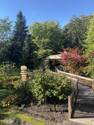 Anker der Erinnerung - für Dich und deine Trauer; Yoga, Innehalten & kreatives Gestalten im Wunderland in Cloppenburg